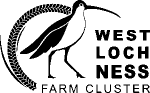 Black Logo
