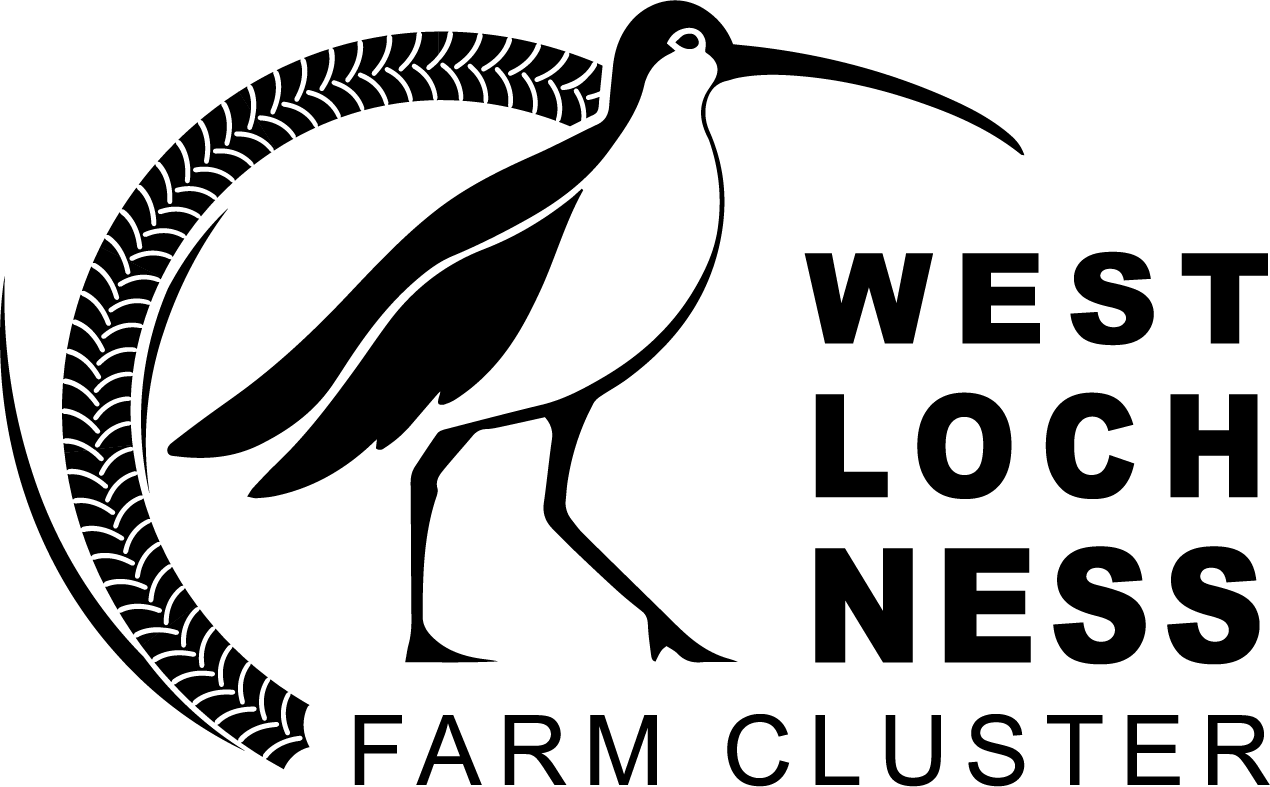 Black Logo