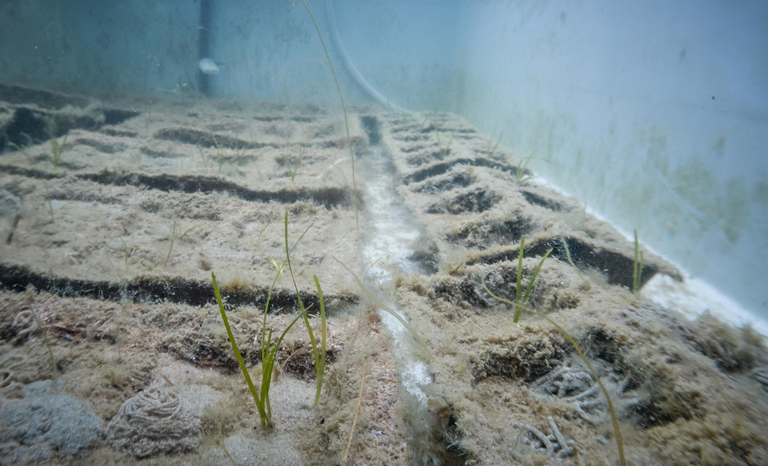 C:DCIM100GOPROGOPR3243.GPR