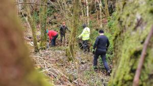 51c48cad-e3b6-4cb4-8f38-6a59e03d6a40