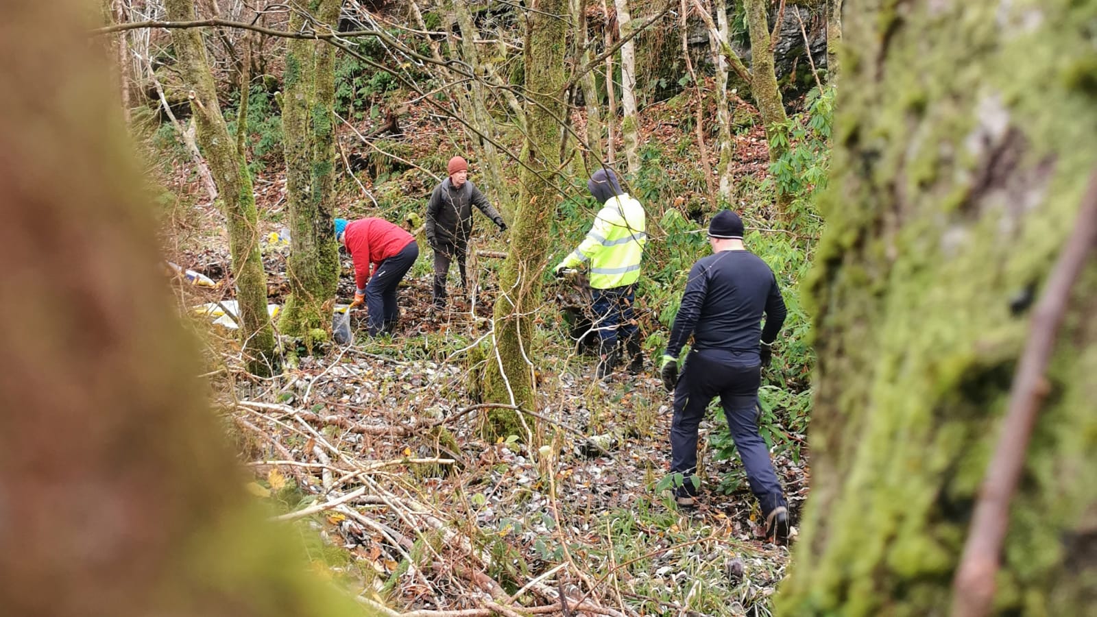 51c48cad-e3b6-4cb4-8f38-6a59e03d6a40