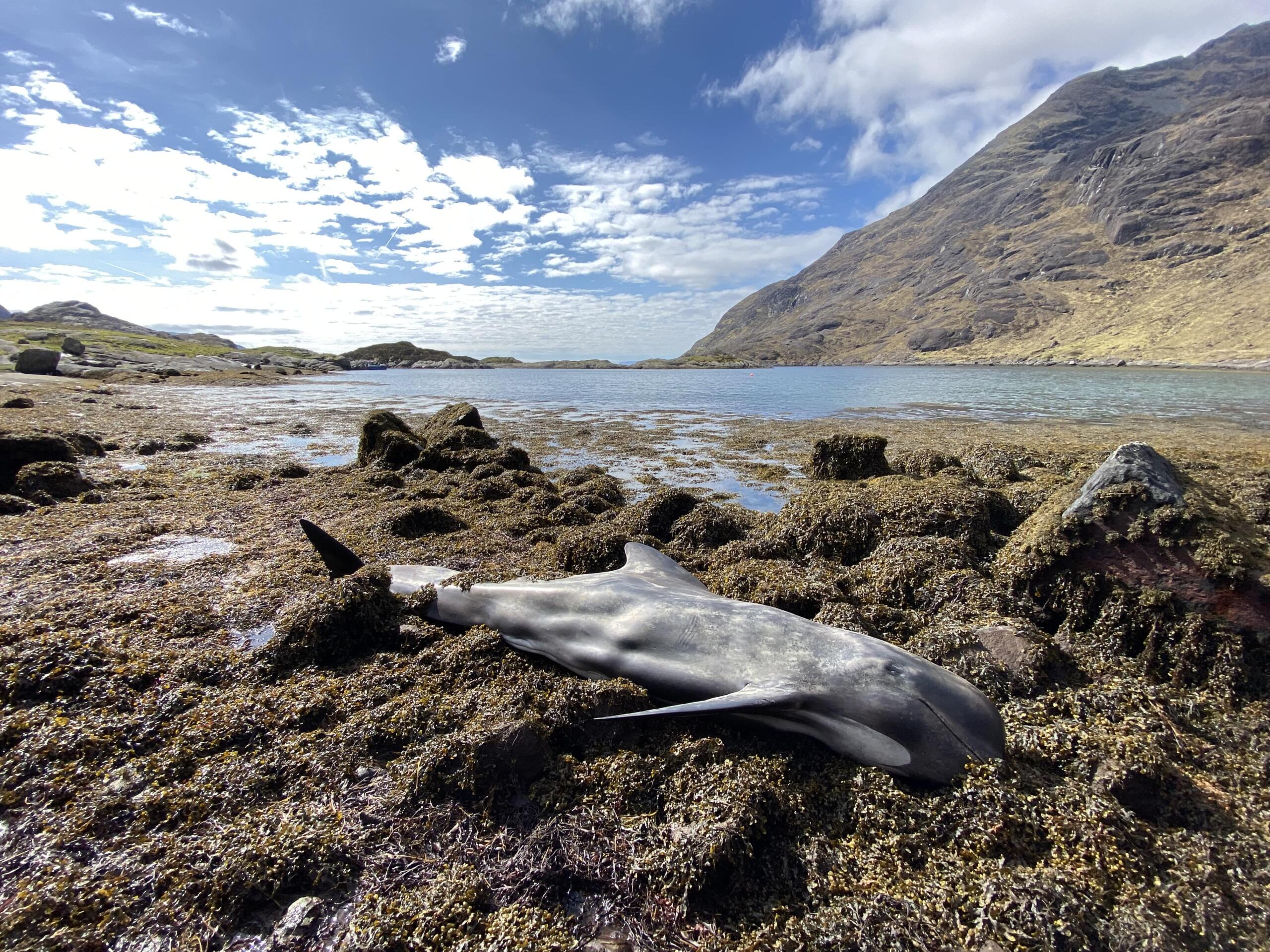 Photo 02-05-2022, 10 32 39-min