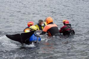 Photo 06-09-2024, 01 51 43