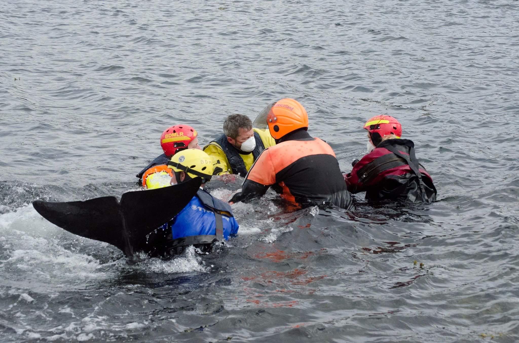 Photo 06-09-2024, 01 51 43