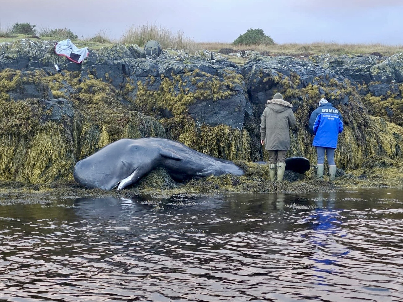 Photo 07-11-2023, 09 21 40