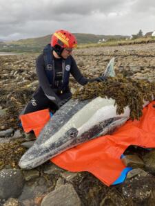 Photo 14-09-2024, 13 58 18-min