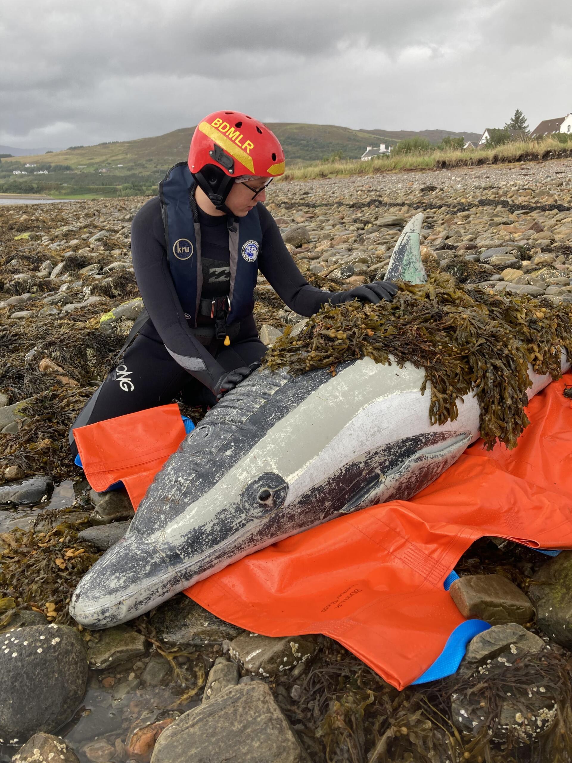 Photo 14-09-2024, 13 58 18-min