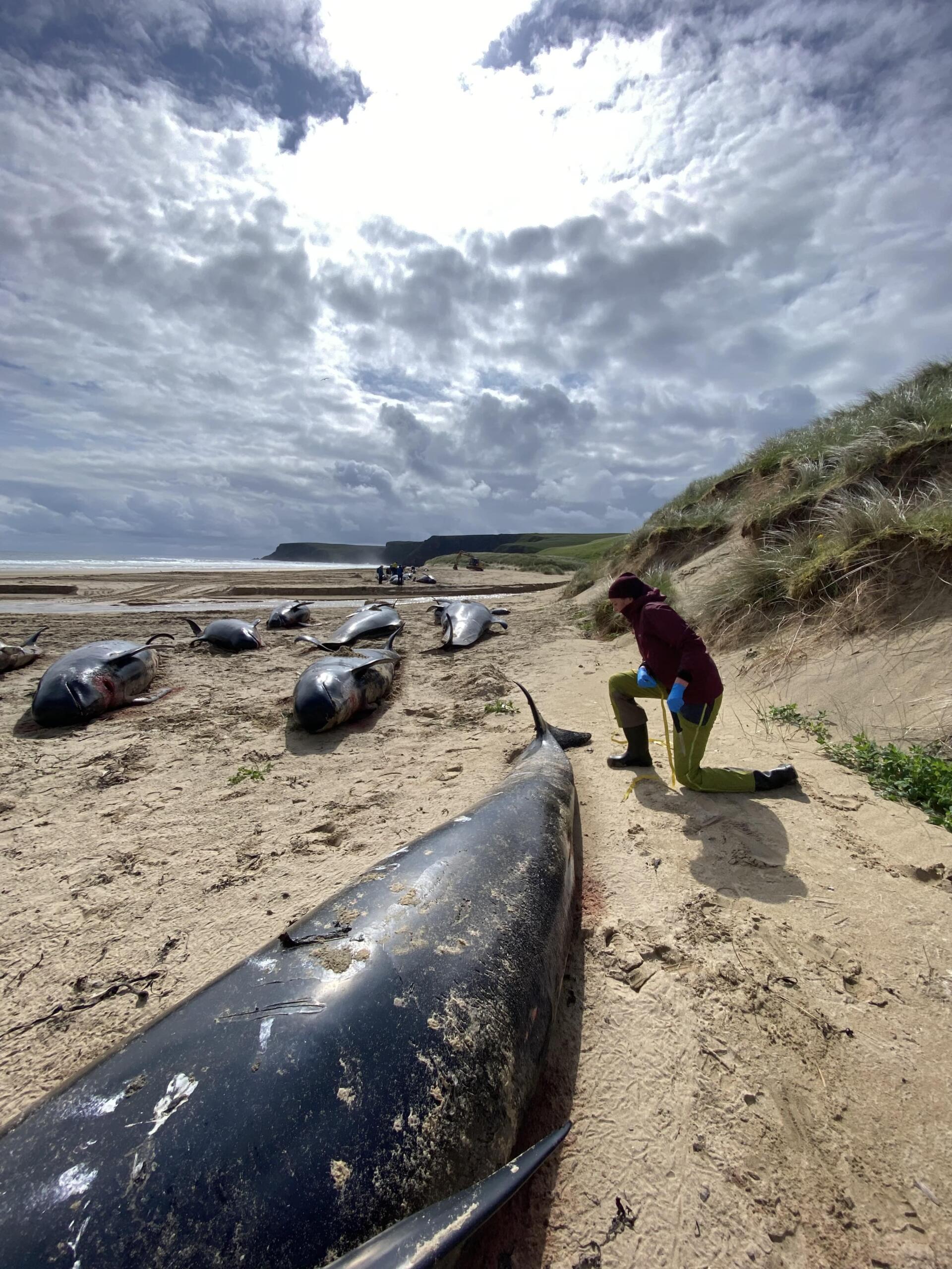 Photo 17-07-2023, 11 00 39-min