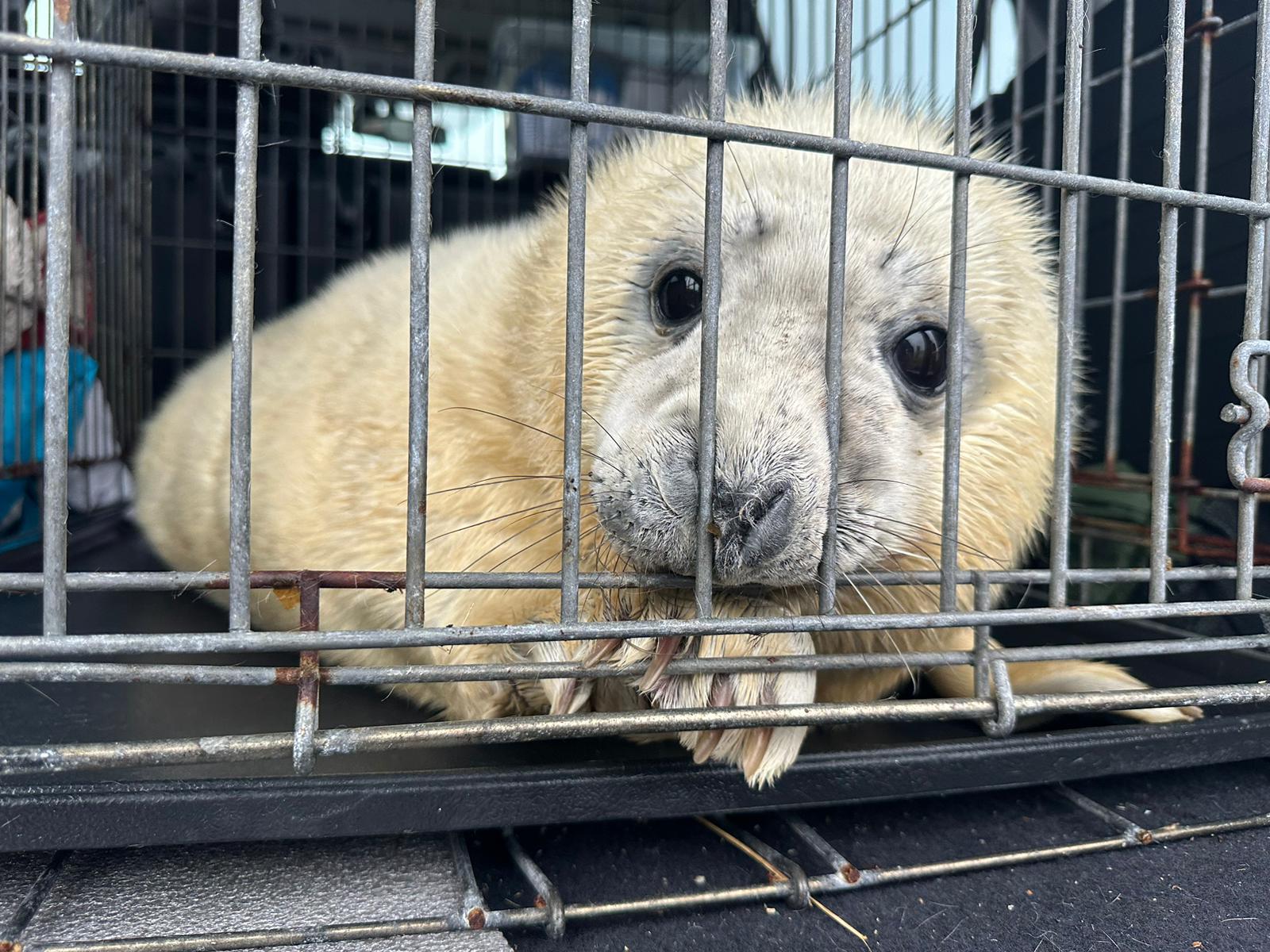 Photo 24-01-2025, 17 01 20