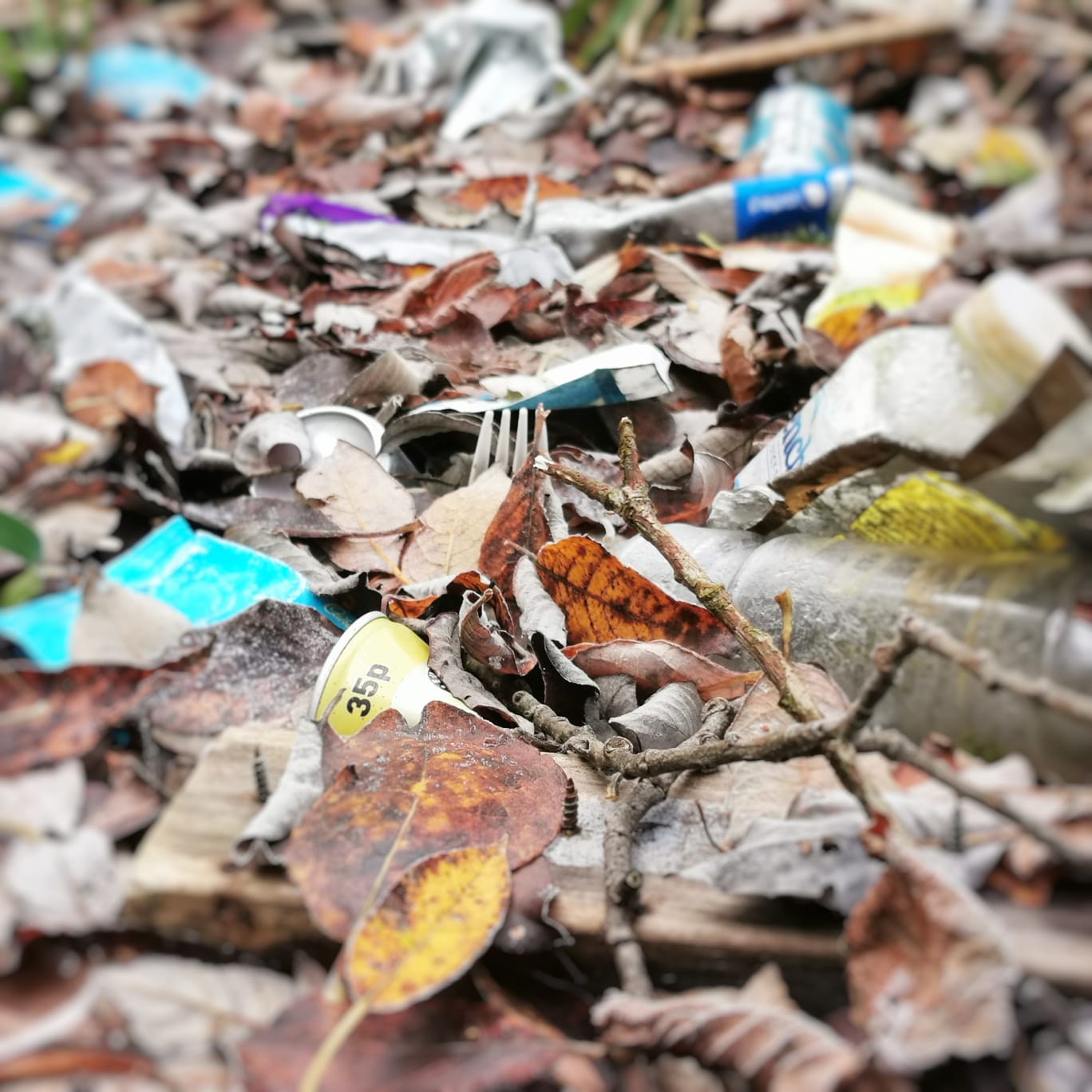 d41d1b5a-4453-4030-84cf-24891021bfa5