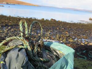 20190203134320_IMG_1046