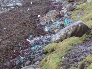 20190203143107_IMG_1060