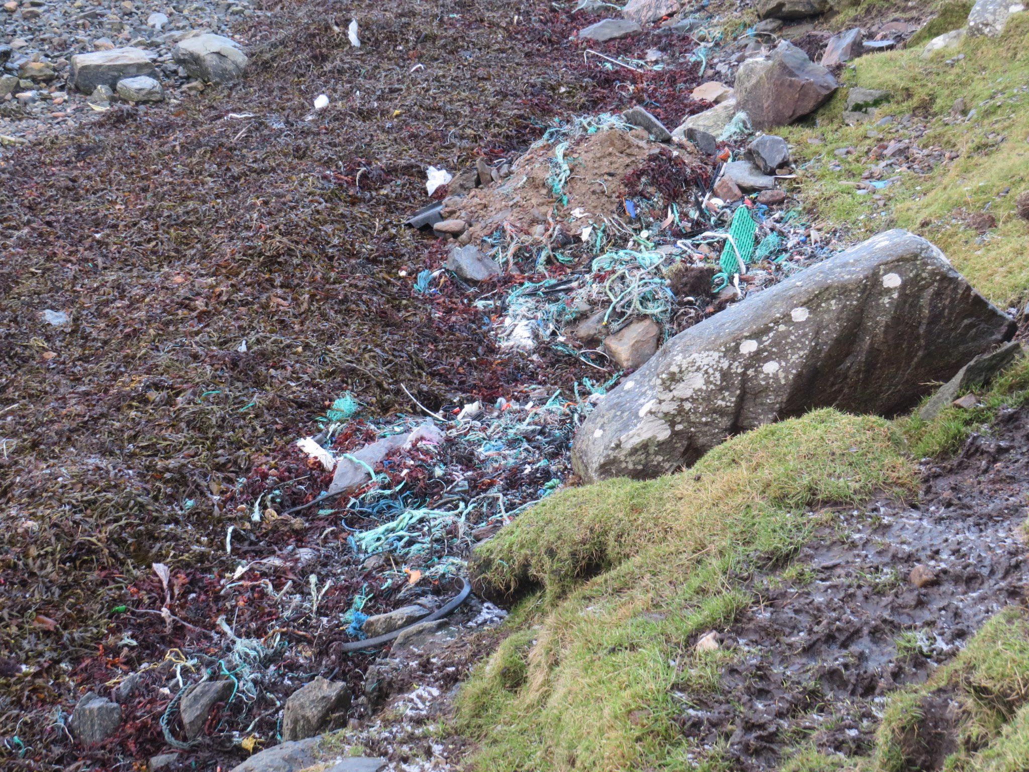 20190203143107_IMG_1060