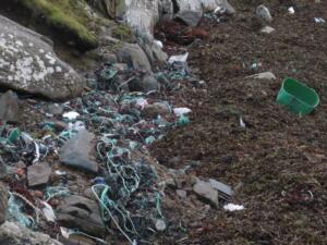 20190203143155_IMG_1063