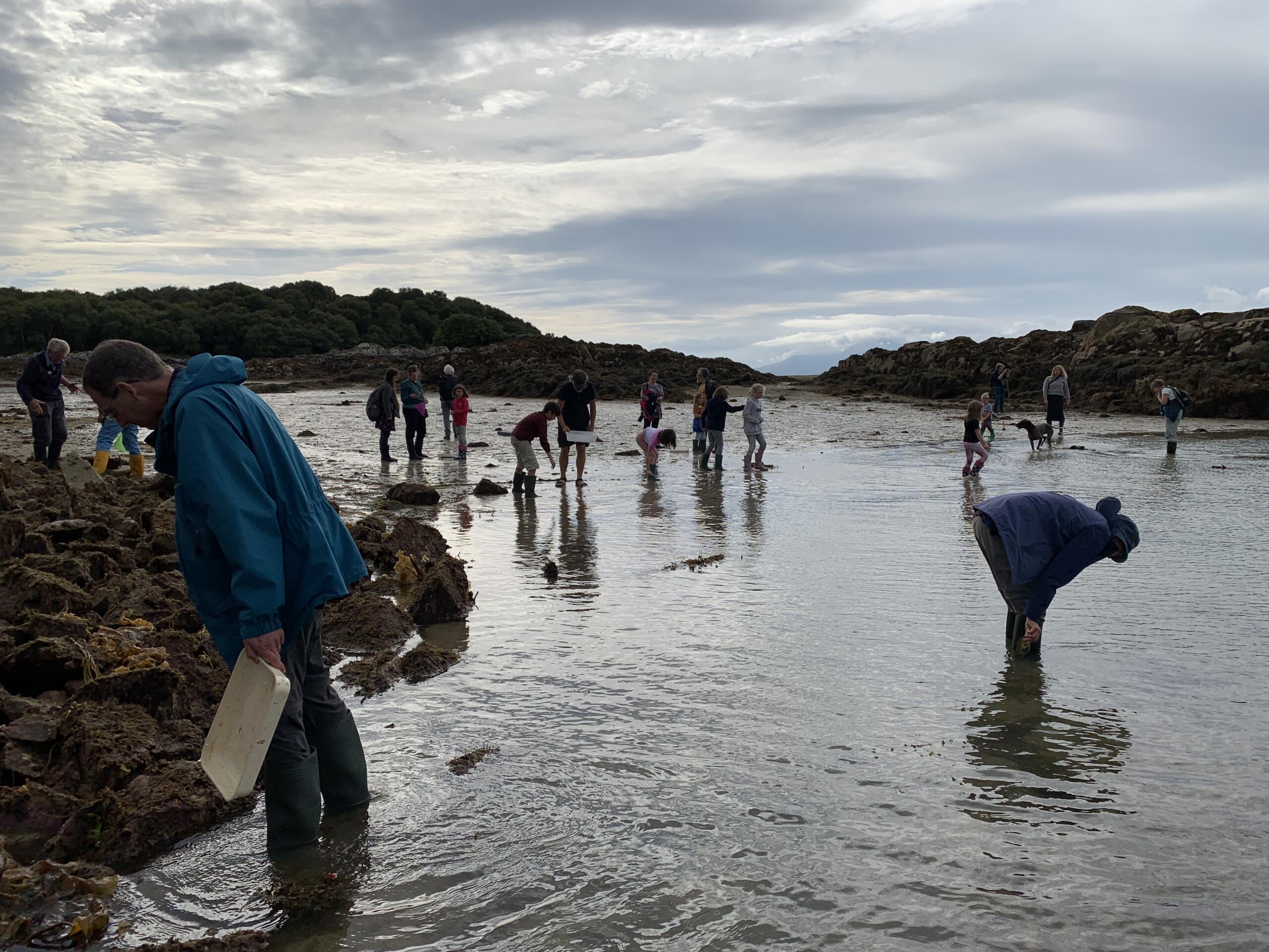 Families on beach