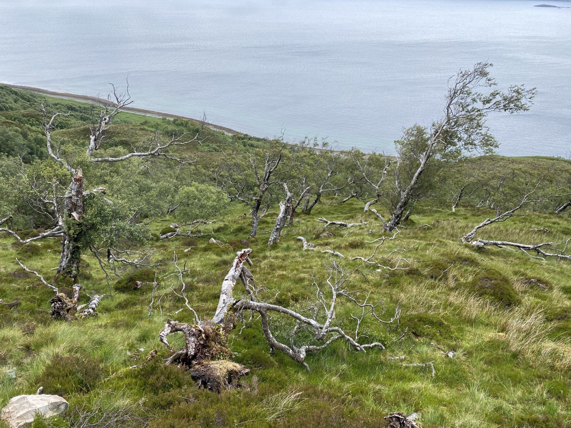 151e7fab-2ec7-4505-9fdc-5b1c63b5f9c5