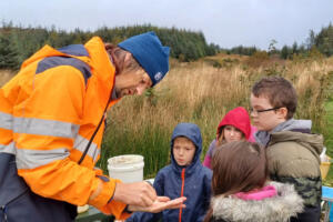 Tree-Nursery-Corry-Capers-12x8