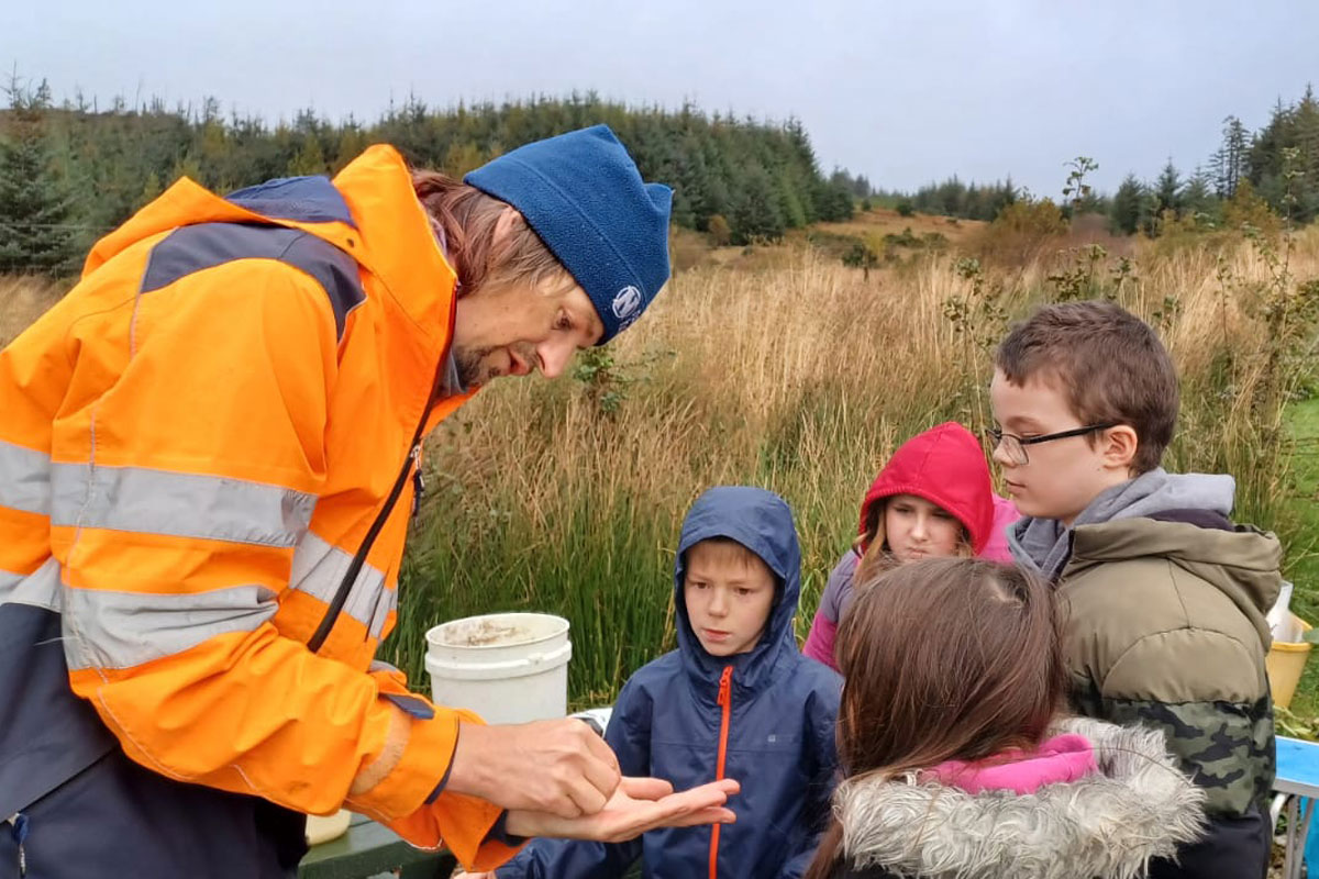 Tree-Nursery-Corry-Capers-12x8