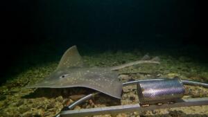 thumbnail_vlcsnap-2024-01-04-19h45m25s359 resize