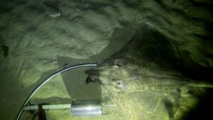 thumbnail_vlcsnap-2024-12-17-22h53m01s618 resize