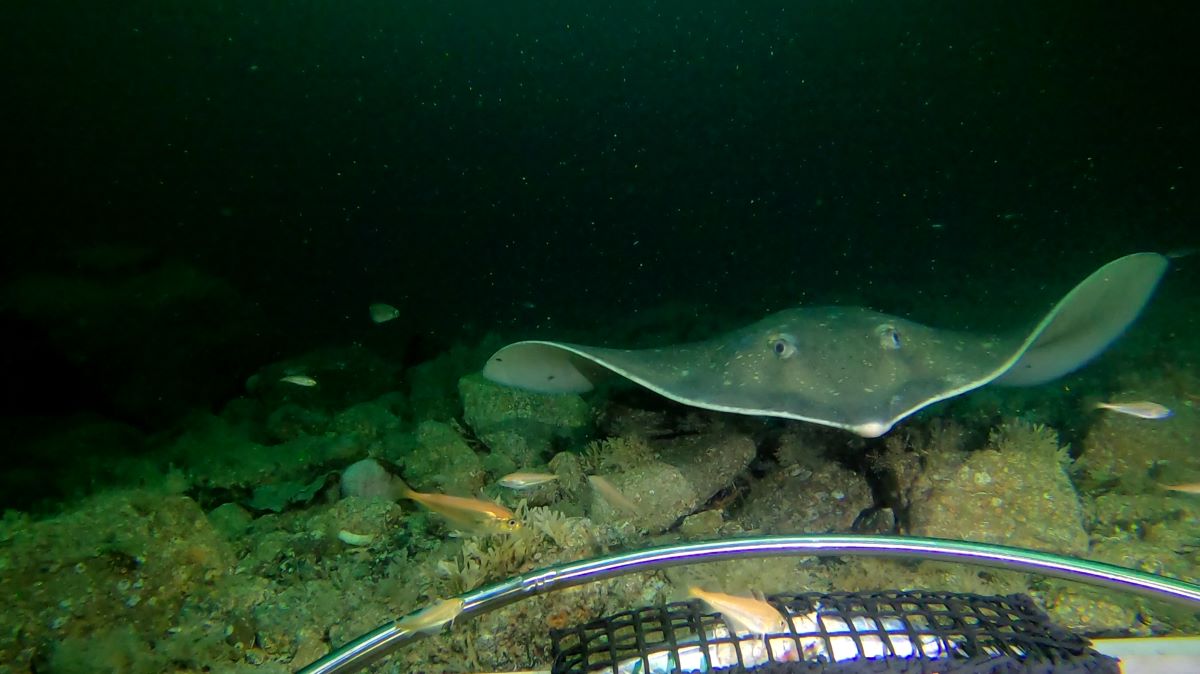 thumbnail_vlcsnap-2025-01-31-09h35m56s991 resize