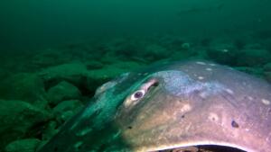 thumbnail_vlcsnap-2025-03-04-15h03m43s168 resize