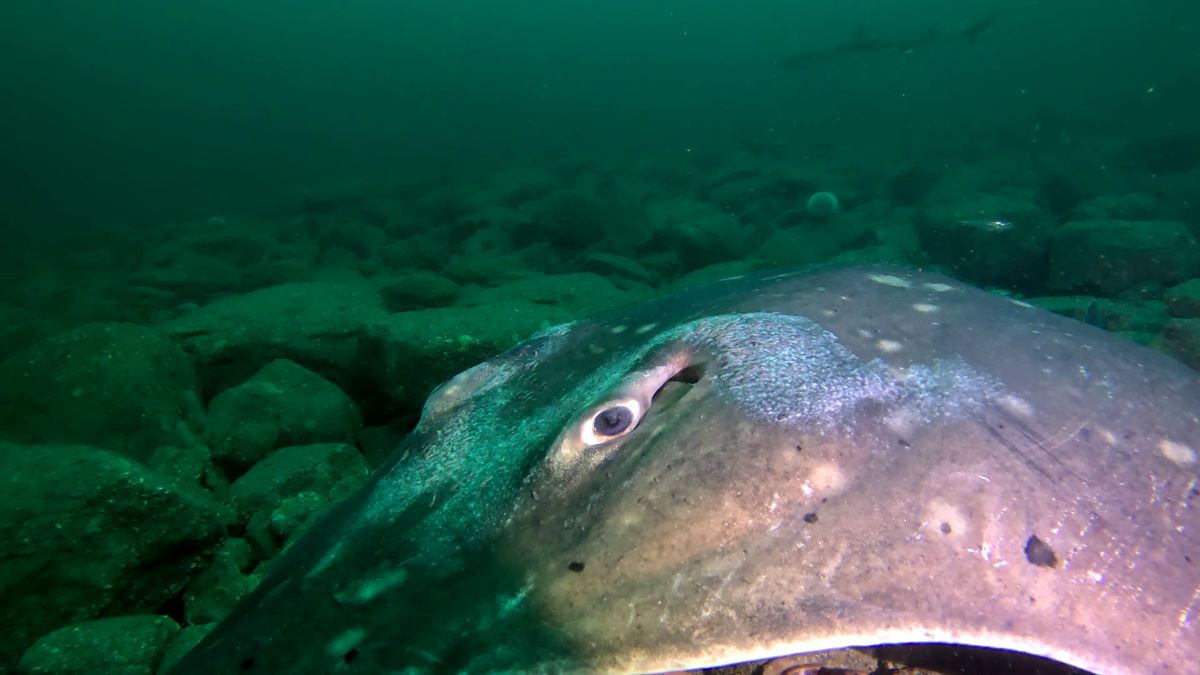 thumbnail_vlcsnap-2025-03-04-15h03m43s168 resize