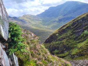 wts juniper high altitude