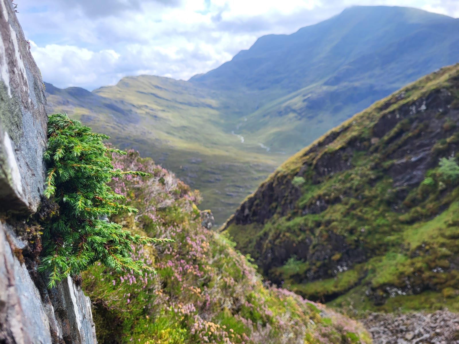 wts juniper high altitude