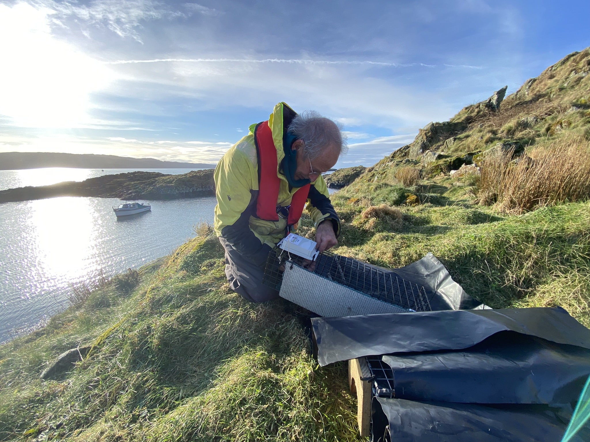 Protecting water voles on Eilean na Cille-min