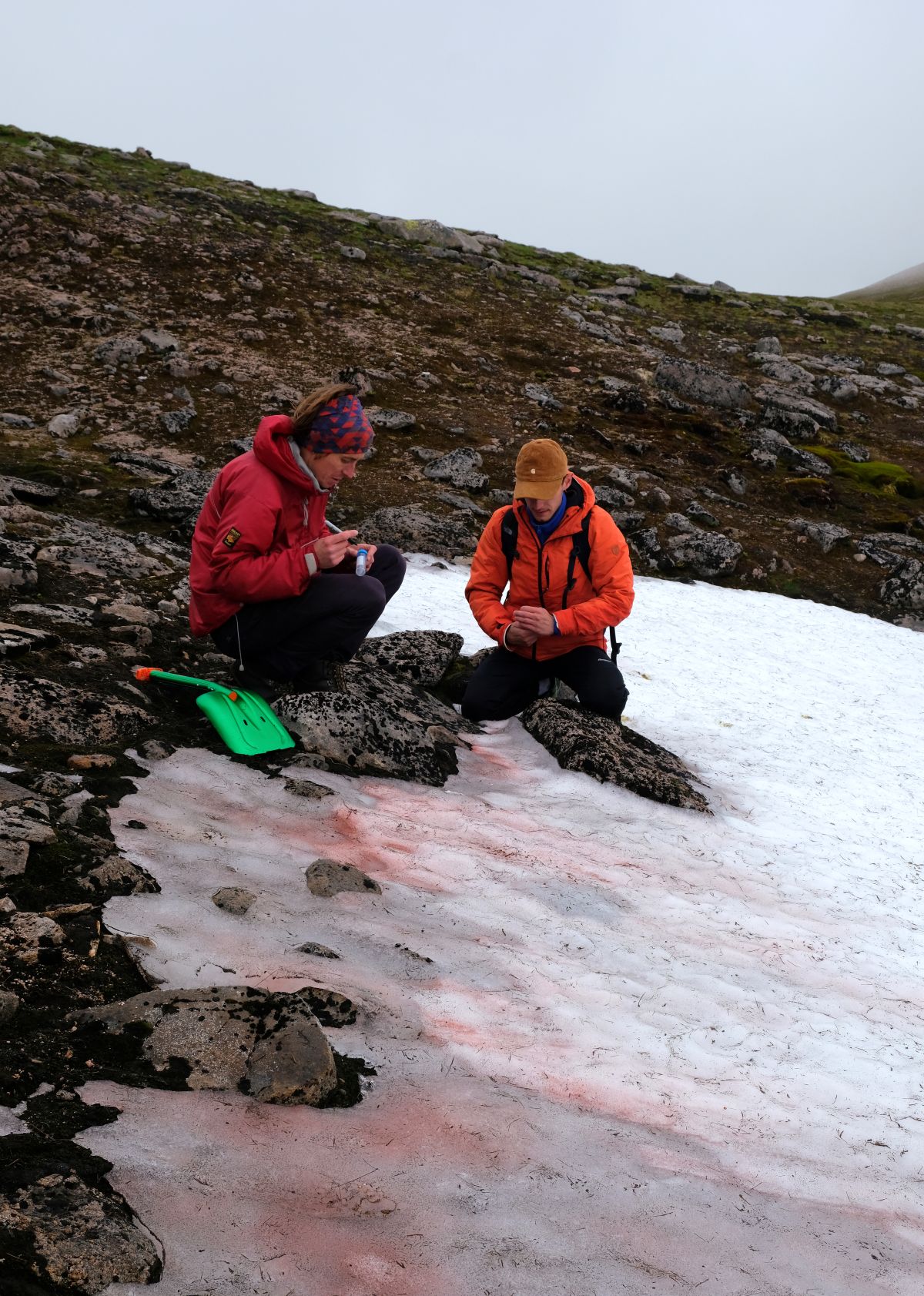 Sampling red snow