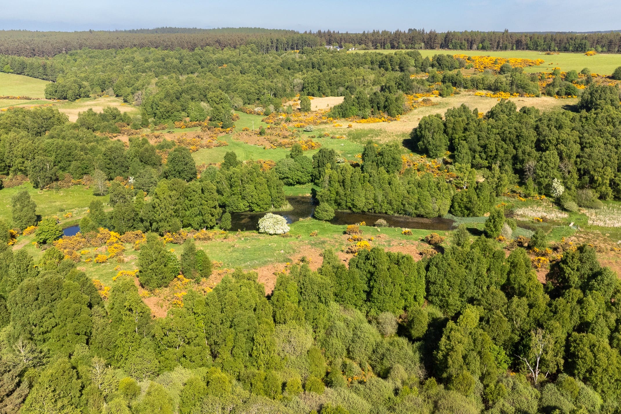 Aerial shot of Laikenbuie (c) SCOTLAND Big Picture Mark Hamblin