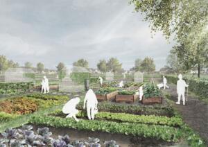 Visual Allotments - credit by Iglu Studio