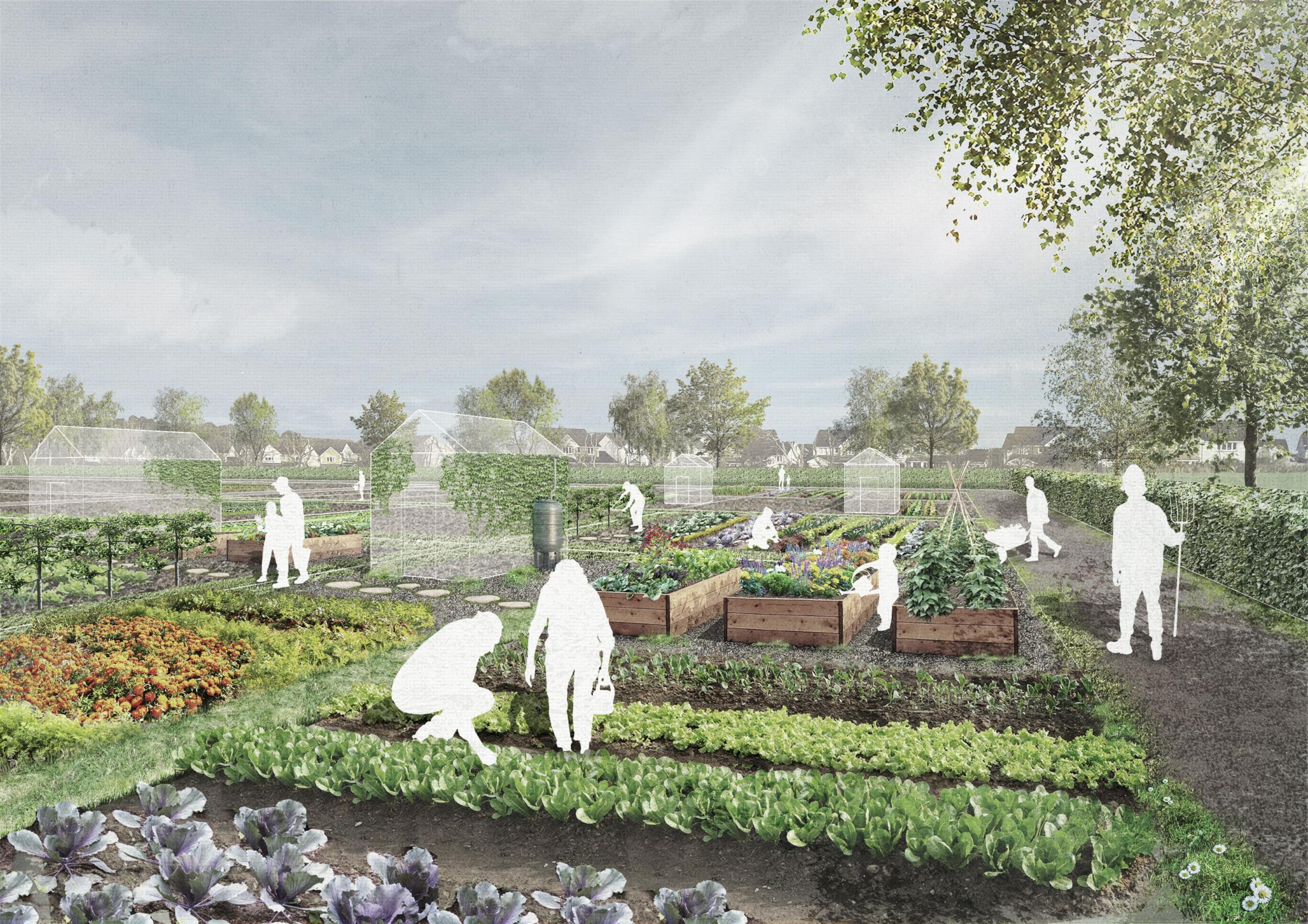 Visual Allotments - credit by Iglu Studio