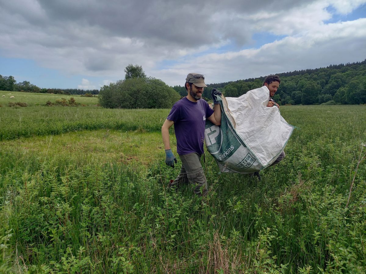 Volunteers removing cut vegetation from fen (c) Genevieve Tompkins