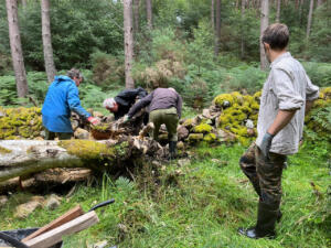 volunteers repairing drystone wall (c) Peter Muskus