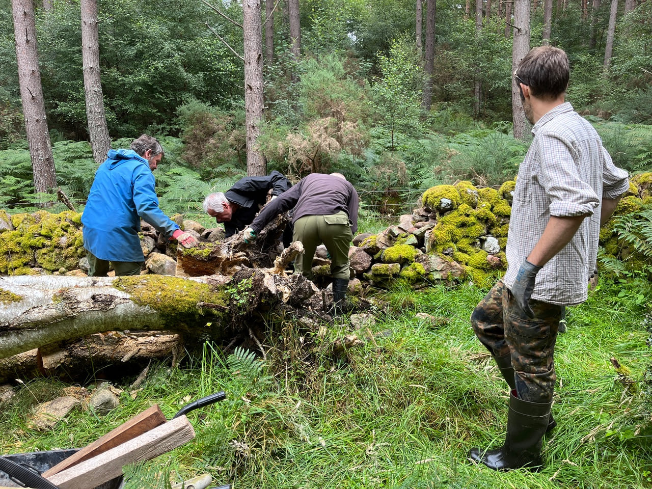 volunteers repairing drystone wall (c) Peter Muskus