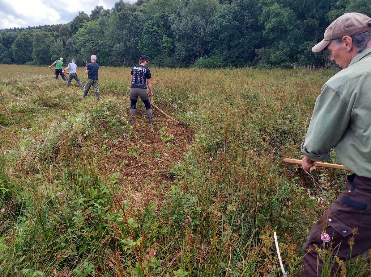 volunteers scything fen (c) Genevieve Tompkins